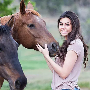 Manejo y Cuidado del Caballo en Oviedo, Gijón, Avilés, Langreo y León